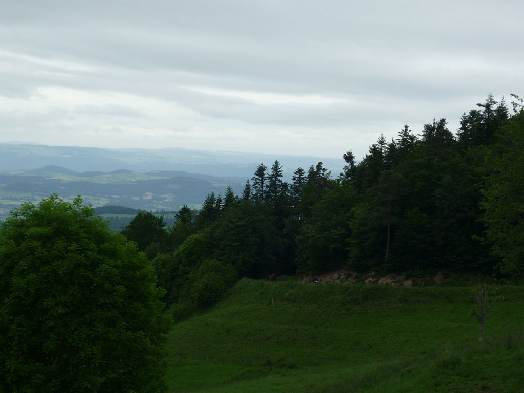 P1050550