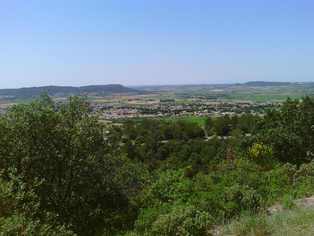 PICT0052