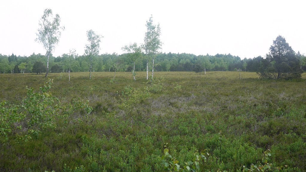 P1080197