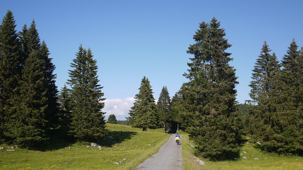 P1080302